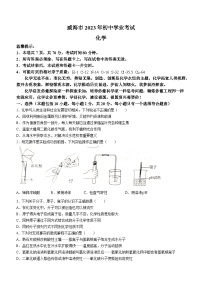 2023年山东省威海市中考化学真题