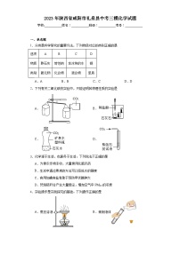 2023年陕西省咸阳市礼泉县中考三模化学试题（含答案）