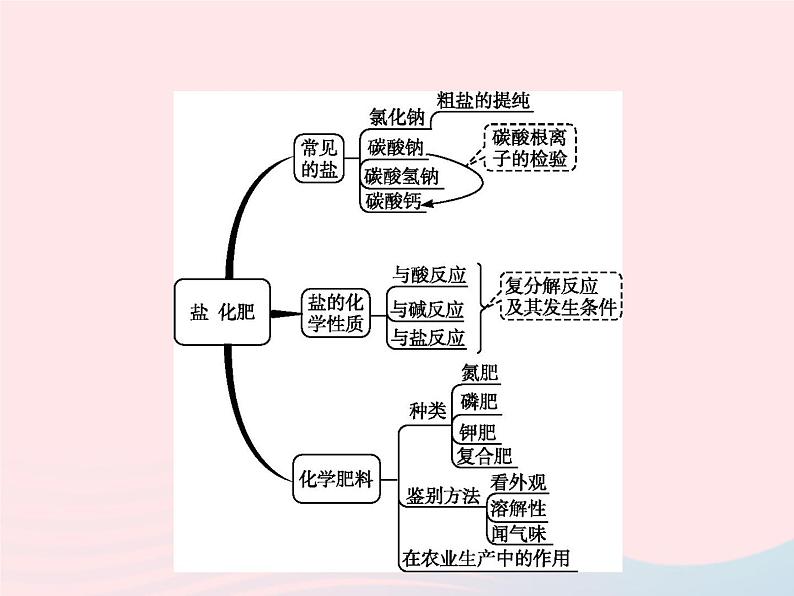 2023九年级化学下册第十一单元盐化肥单元整合课件新版新人教版02