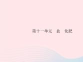 2023九年级化学下册第十一单元盐化肥课题1生活中常见的盐第1课时常见的盐课件新版新人教版