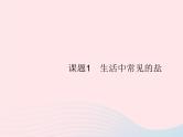 2023九年级化学下册第十一单元盐化肥课题1生活中常见的盐第1课时常见的盐课件新版新人教版