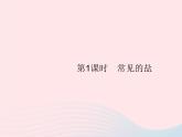 2023九年级化学下册第十一单元盐化肥课题1生活中常见的盐第1课时常见的盐课件新版新人教版