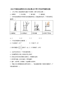 2023年湖北省武汉市江岸区重点中学中考化学调研试卷