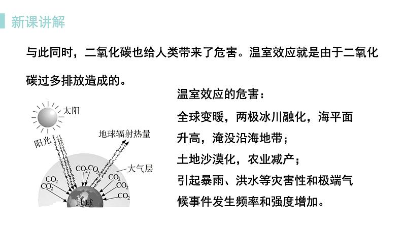 科粤版化学九上5.3  二氧化碳的性质和制法（课时3）（课件PPT）第7页