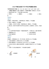 _2022年湖北省咸宁市中考化学真题及答案