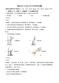 精品解析：2021年6月湖南省郴州市第九中学中考模拟化学试题（解析版）