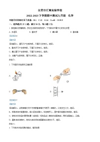 精品解析：四川省自贡市汇南实验学校2022-2023学年九年级下学期期中化学试题（解析版）