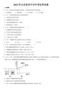 2023年山东省济宁市中考化学试卷【附参考答案】