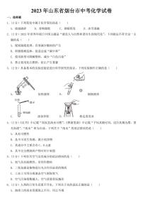 2023年山东省烟台市中考化学试卷【附参考答案】