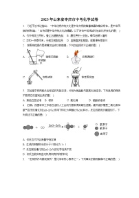 2023年山东省枣庄市中考化学试卷(含答案解析)