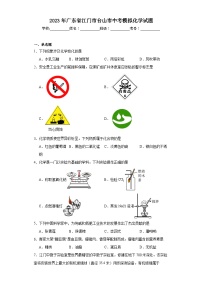 2023年广东省江门市台山市中考模拟化学试题（含解析）