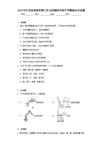 2023年江苏省南通市海门区东洲国际学校中考模拟化学试题（含解析）