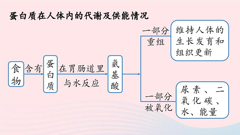 第十二单元化学与生活课题1人类重要的营养物质课件（人教版九下）08