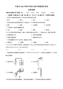 2023年甘肃省平凉市中考化学真题及答案解析