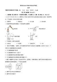 2023年湖北省鄂州市中考化学真题及答案解析