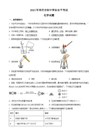 2023年山东省枣庄市中考化学真题及答案解析