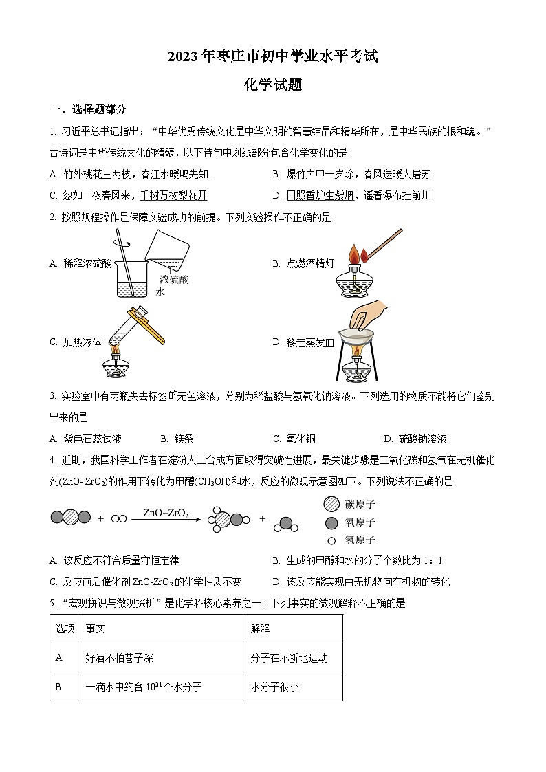 2023年山东省枣庄市中考化学真题及答案解析01