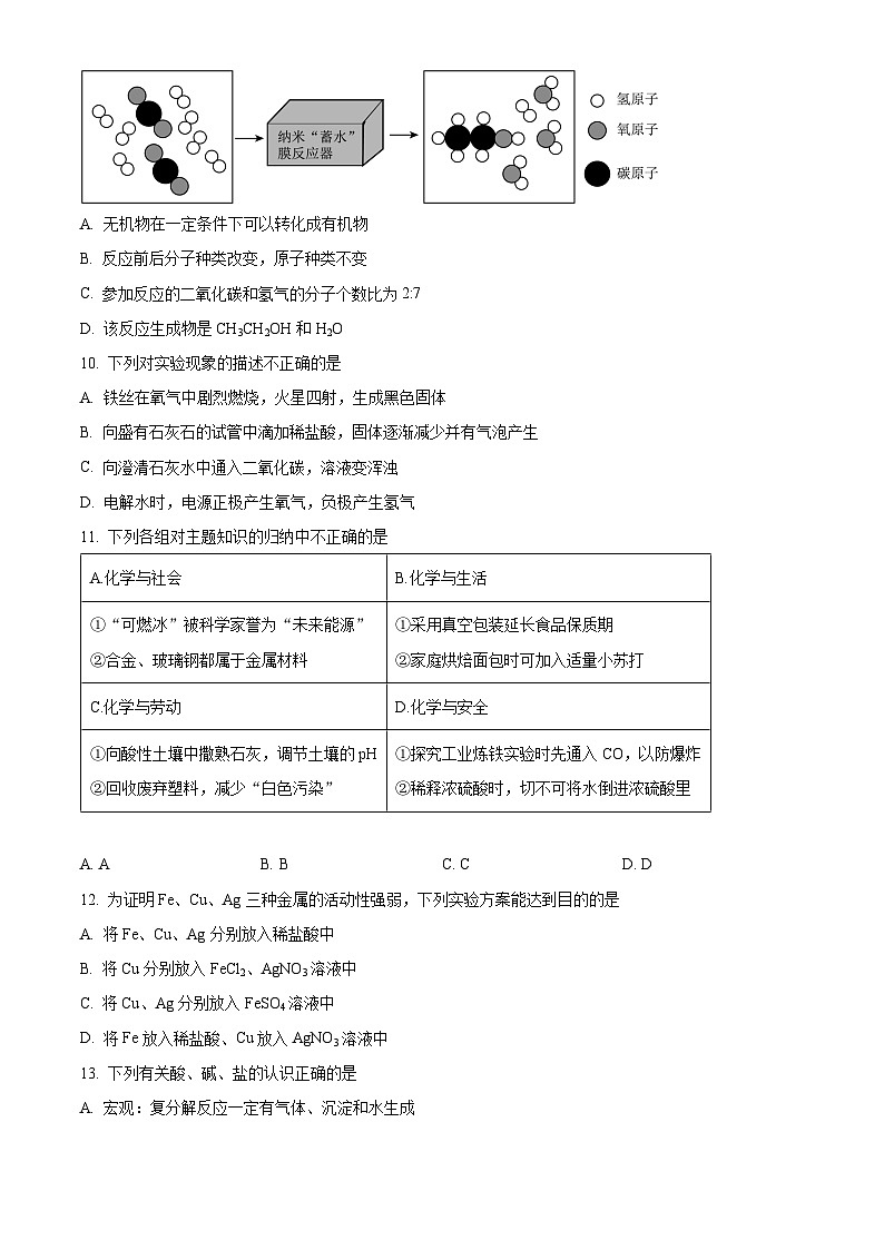 2023年山东省聊城市中考化学真题及答案解析03