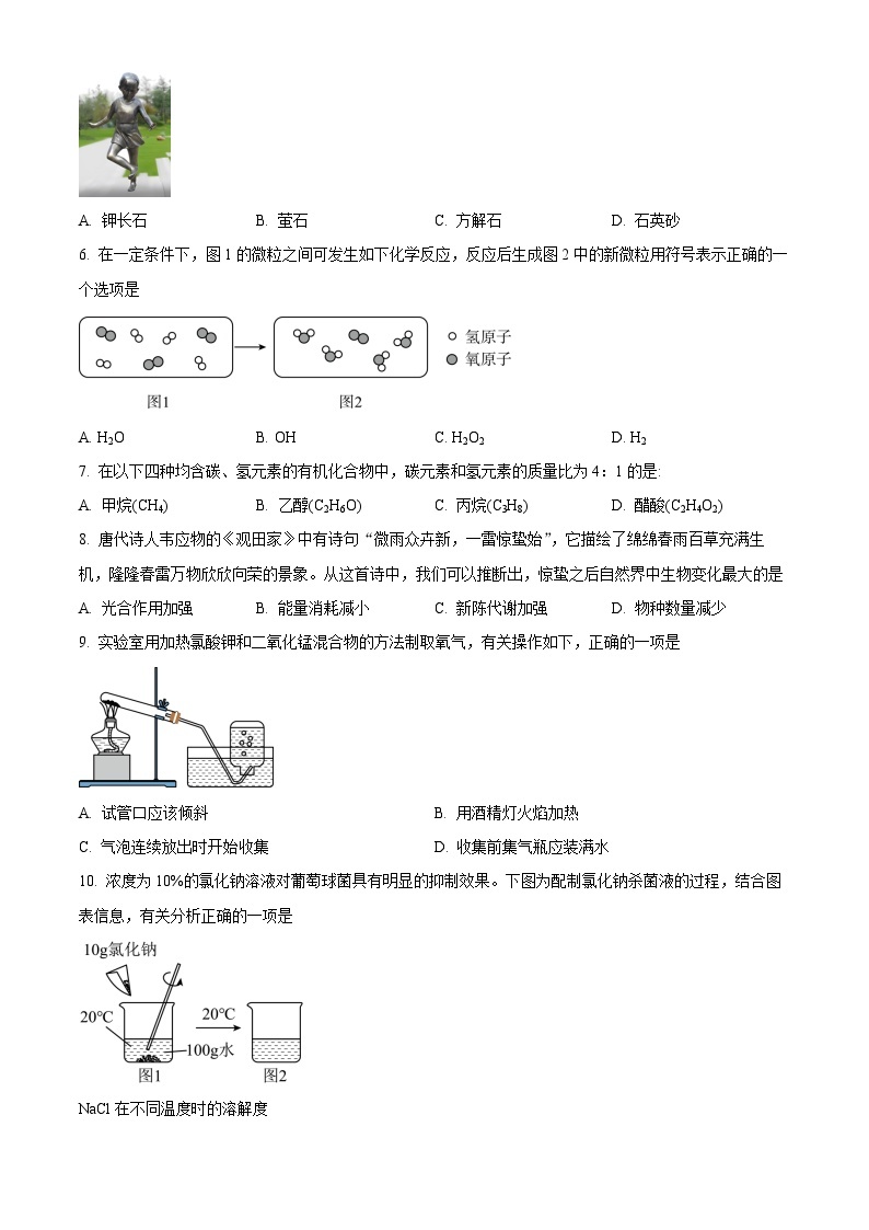 2023年山西省中考化学真题及答案解析02