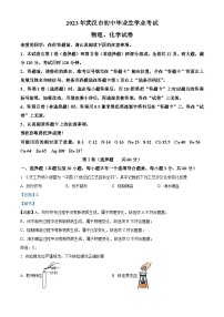 2023年湖北省武汉市中考化学真题（含解析）