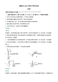 2023年山东省威海市中考化学真题（含解析）