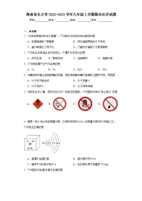 海南省东方市2022-2023学年九年级上学期期末化学试题（含解析）