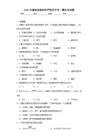 2022年湖南省株洲市芦淞区中考一模化学试题（含解析）