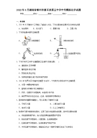 2022年6月湖南省郴州市嘉禾县第五中学中考模拟化学试题（含解析）