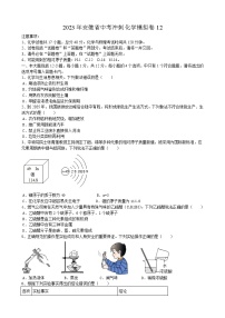 2023年安徽省中考冲刺化学模拟卷12