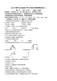 河南省信阳市罗山县实验中学2022-2023学年九年级下学期开学考试化学试题(无答案)