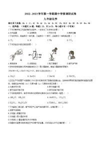 河南省周口市淮阳区、郸城县才源中学等5校2022-2023学年九年级上学期期中化学试题(无答案)