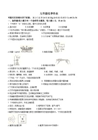 江苏省扬州市宝应县开发区国际学校联盟校2022-2023学年九年级下学期3月月考化学试题