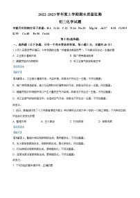 精品解析：黑龙江省大庆市肇源县2022-2023学年八年级上学期期末化学试题（解析版）