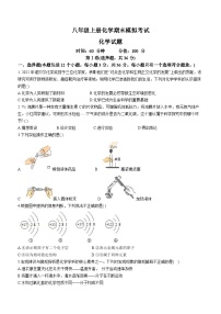 山东省东营市广饶县广饶县兴安中学2022-2023学年八年级上学期期末化学试题(无答案)