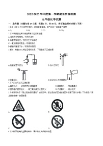 河北省秦皇岛市昌黎县2022-2023学年九年级下学期期末化学试题（含答案）