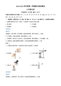 河南省驻马店市平舆县2022-2023学年九年级上学期2月期末化学试题（解析版）