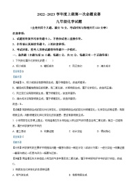 重庆市江津区白沙中学校2022-2023学年九年级上学期期中化学试题（解析版）