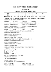 河南省驻马店市西平县2022-2023学年九年级上学期期末化学试题（含答案）