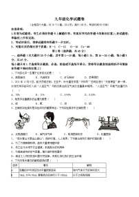 云南省昭通市昭阳区2022-2023学年九年级上学期期末化学试题（含答案）