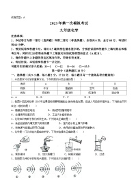 2023年陕西省渭南市澄城县中考一模化学试题