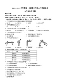 江苏省连云港市2022-2023学年九年级上学期期中化学试题