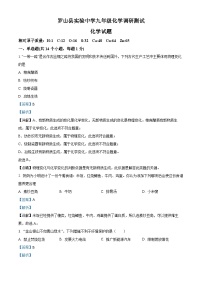 精品解析：河南省信阳市罗山县实验中学2022-2023学年九年级下学期3月月考化学试题（解析版）