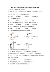 2023年江苏省无锡市新吴区中考化学适应性试卷