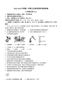 安徽省亳州市利辛县2022-2023学年九年级上学期期末化学试题