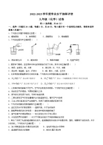 河北省唐山市路南区2022-2023学年九年级上学期期末化学试题（含答案）