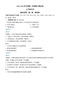 精品解析：河南省新乡市辉县市2022-2023学年九年级上学期期中化学试题（解析版）