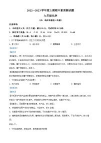 精品解析：河南省驻马店市泌阳县2022-2023学年九年级上学期期中化学试题（解析版）