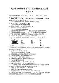 辽宁省铁岭市部分校2020-2021学年九年级下学期第五次月考化学试题