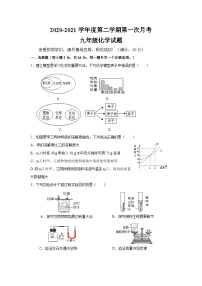 山东省枣庄市东方国际学校2020-2021学年九年级下学期第一次月考化学试题