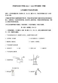 广东省深圳市罗湖区新华外国语学校2022-2023学年九年级上学期期中化学试题